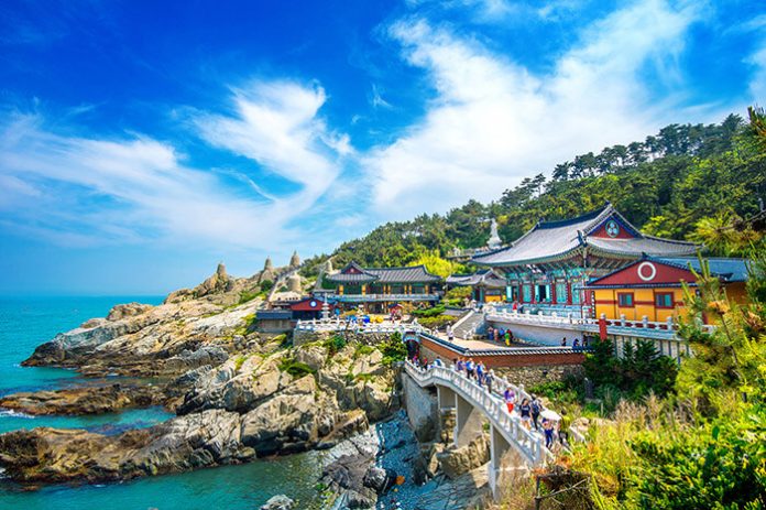 Top Things To Do In Busan South Korea Busan Travel Guide