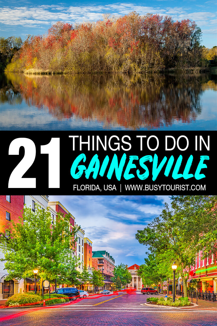 21 Fun Things To Do In Gainesville, Florida Busy Tourist