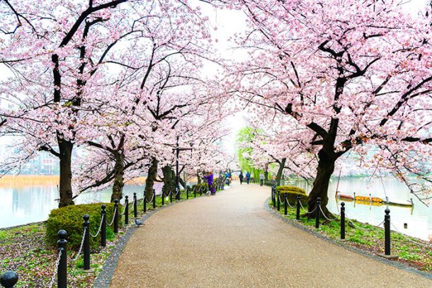 55 Best Things To Do & Places To Visit In Tokyo (Japan)