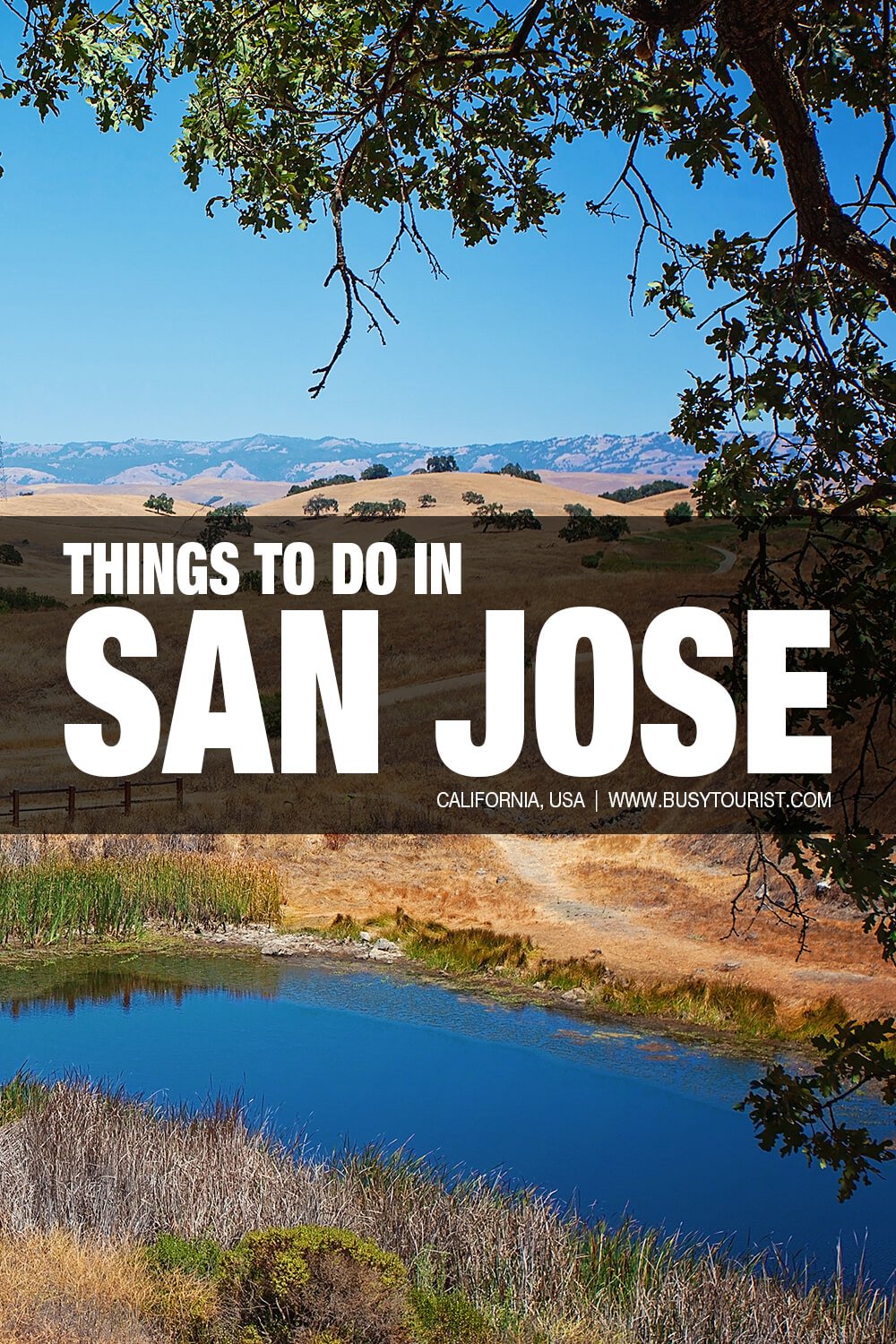 30 Best And Fun Things To Do In San Jose Ca Attractions And Activities 3841