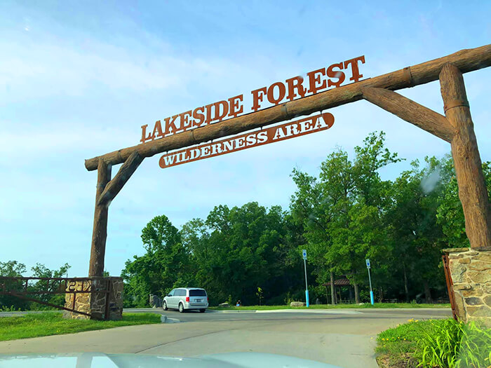 Lakeside Forest Wilderness Area