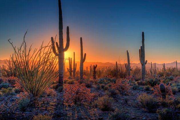 30 Best & Fun Things To Do In Tucson (AZ) - Attractions & Activities