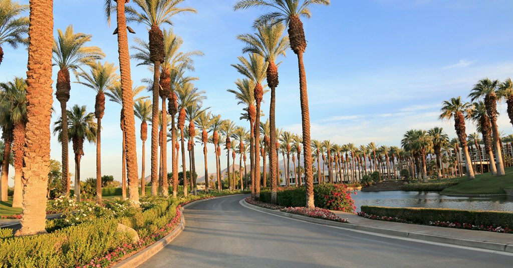 28 Fun Things To Do In Palm Springs (CA) Attractions & Activities