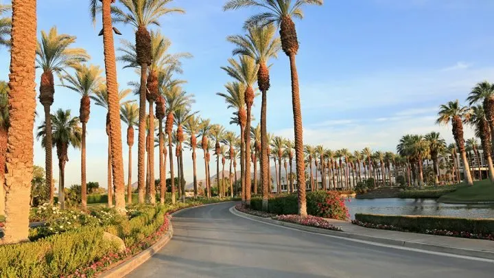 things to do in palm springs