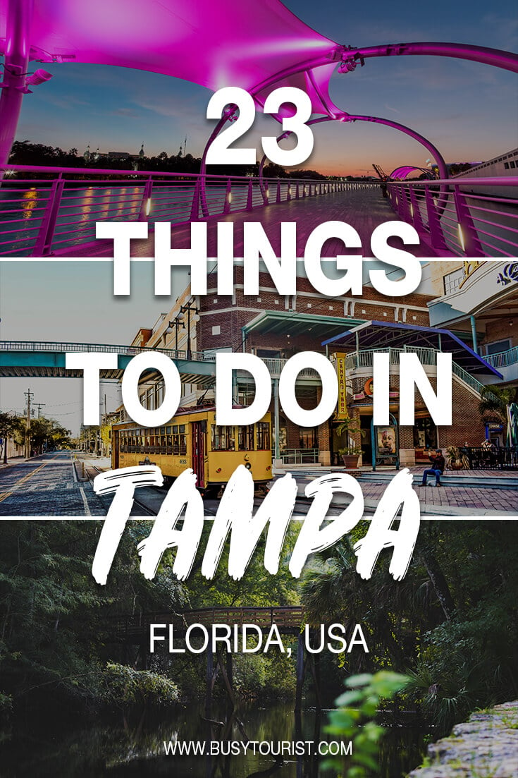 23 Best Fun Things To Do In Tampa FL Attractions Activities