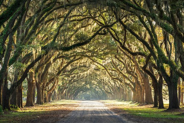 30 Best & Fun Things To Do In Savannah (GA) - Attractions & Activities