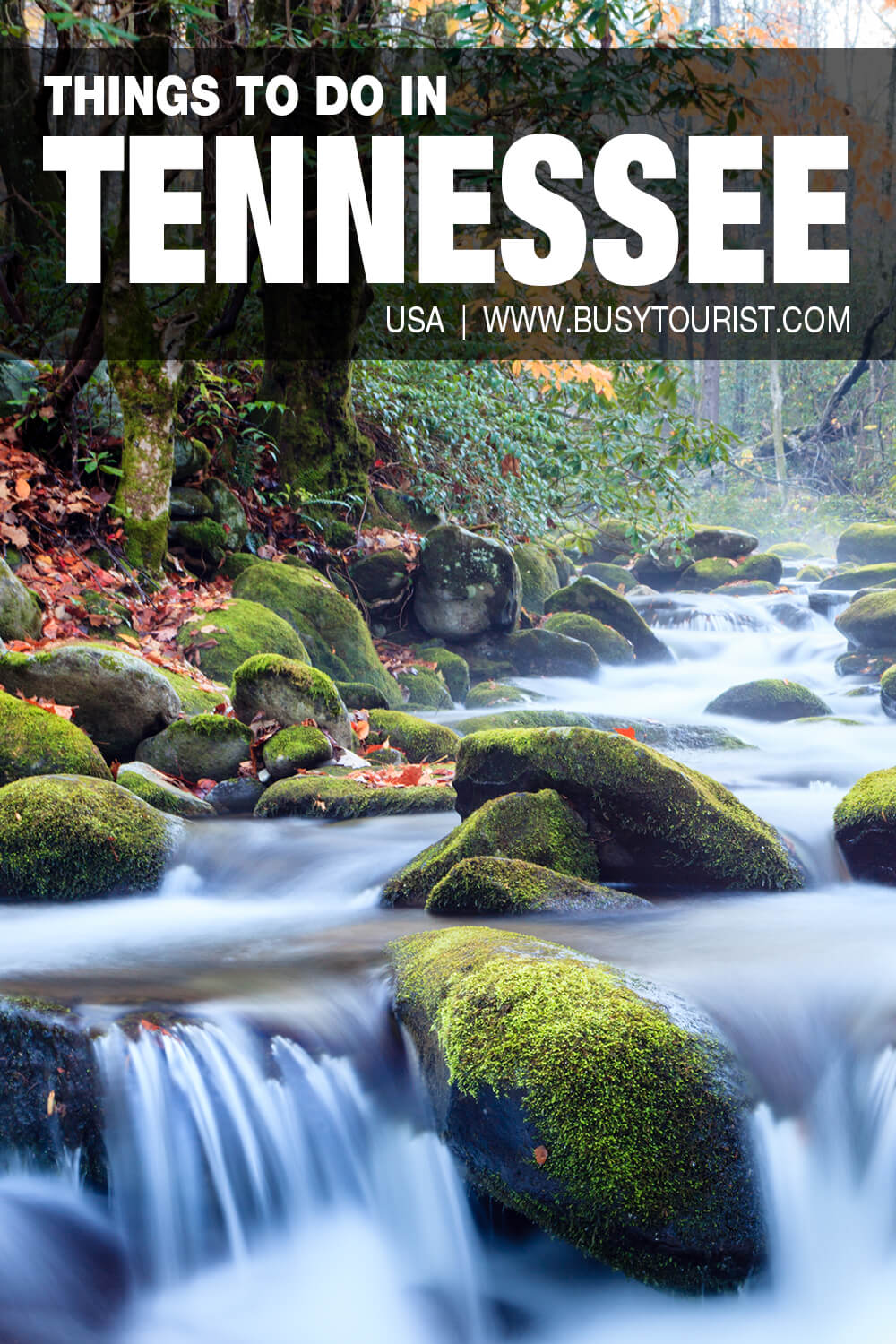 30 Best & Fun Things To Do In Tennessee Attractions & Activities