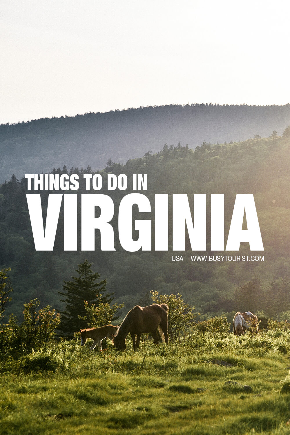 50 Things To Do & Places To Visit In Virginia - Attractions & Activities