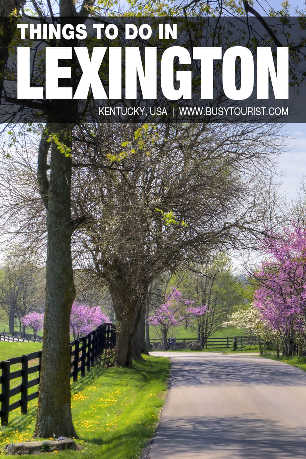 28 Best Fun Things To Do In Lexington KY Attractions Activities