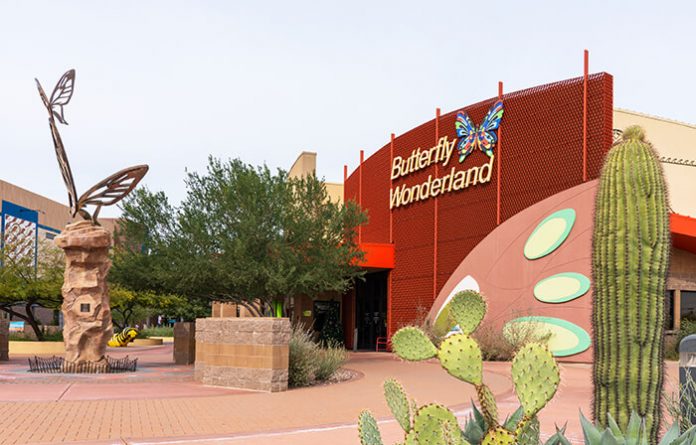 30 Best And Fun Things To Do In Scottsdale Az Attractions And Activities