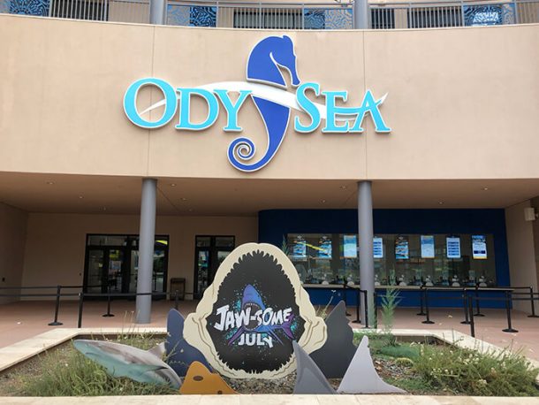 30 Best & Fun Things To Do In Scottsdale (AZ) - ODySea Aquarium 610x458