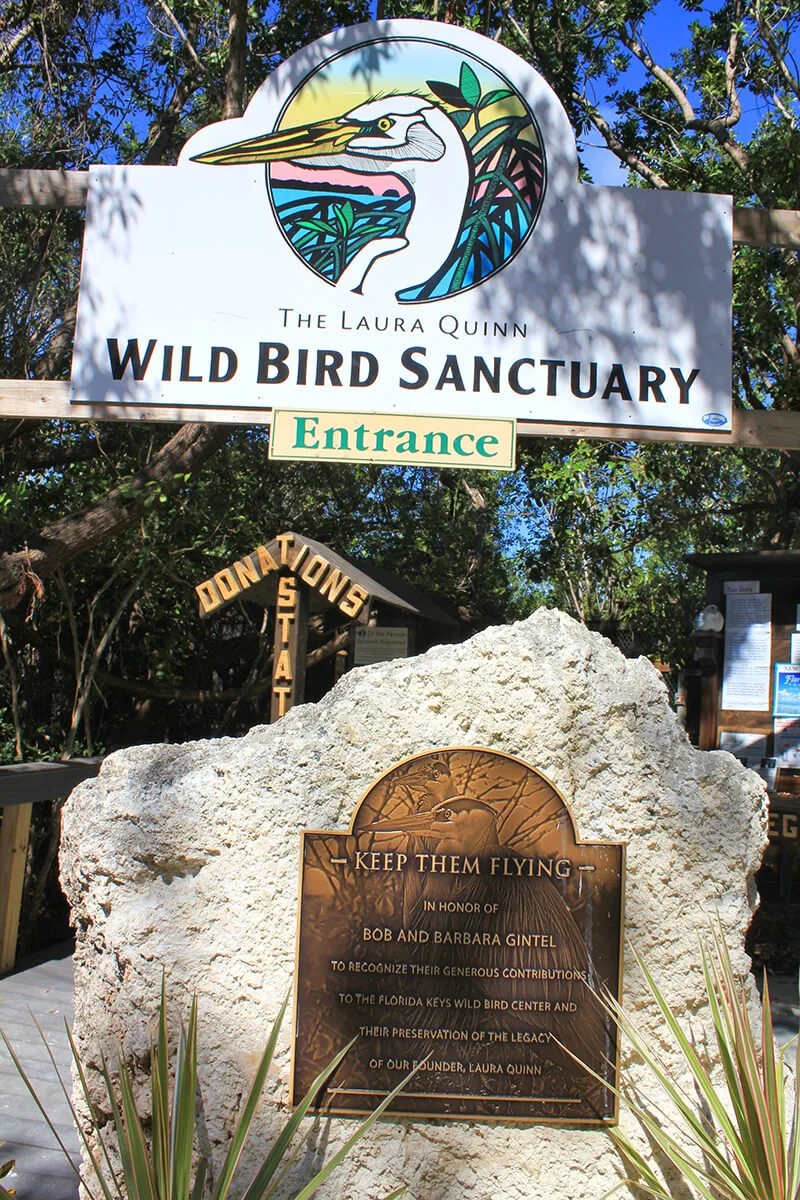 Florida Keys Wild Bird Rehabilitation Center