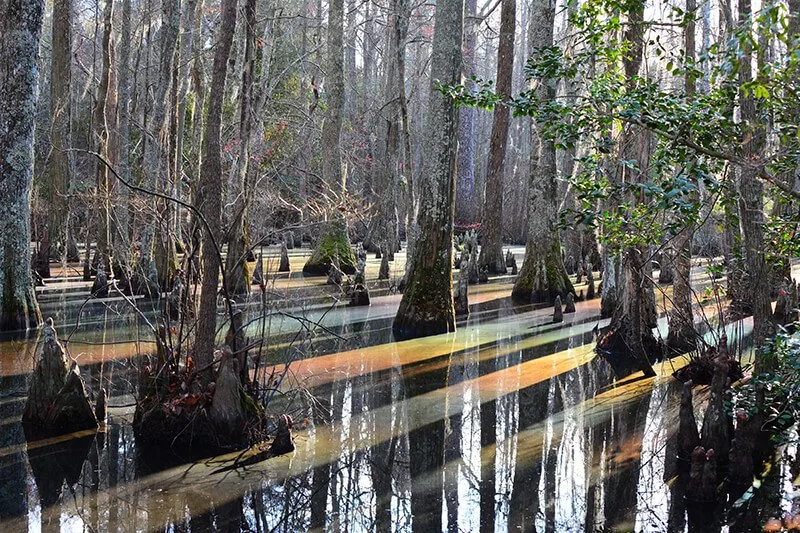 First Landing State Park