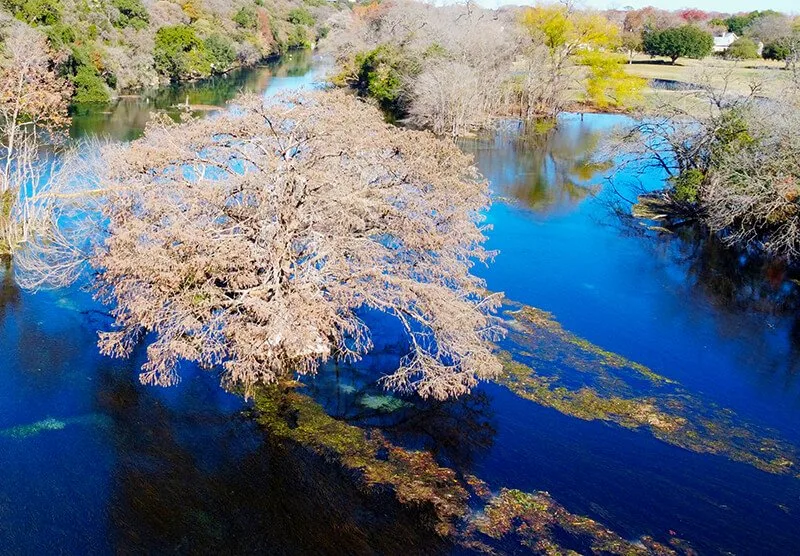 Comal River