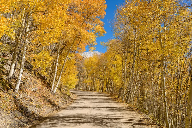 Boreas Pass Road