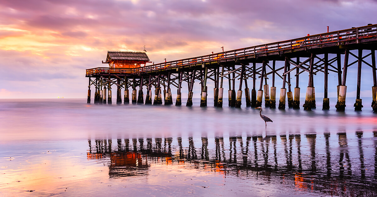 is cocoa beach pier dog friendly