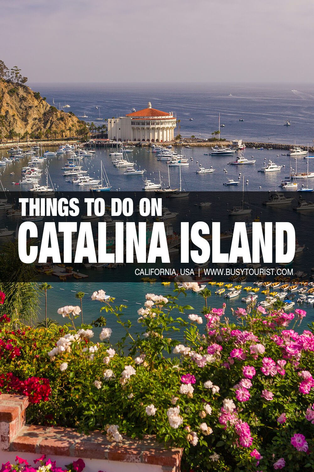 23 Fun Things To Do On Catalina Island (CA) - Attractions & Activities