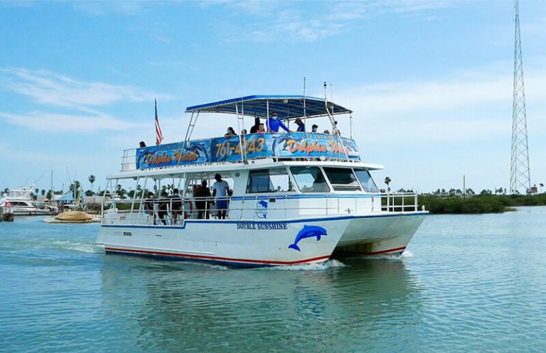 dolphin watch cruise south padre island