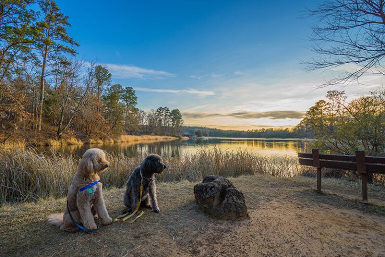 best time to visit tyler tx